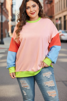Light Pink Plus Size Crew Neck Sweatshirt