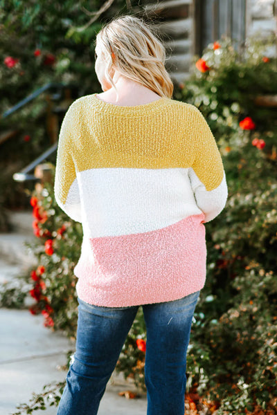 Plus Size Longsleeve Round Neck Colorblock Sweater