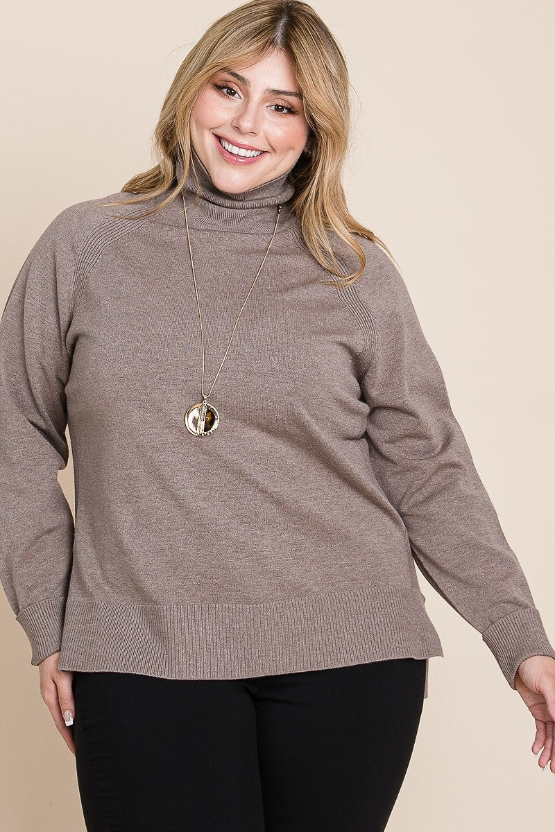 Plus Size Long Sleeve Turtleneck Sweater