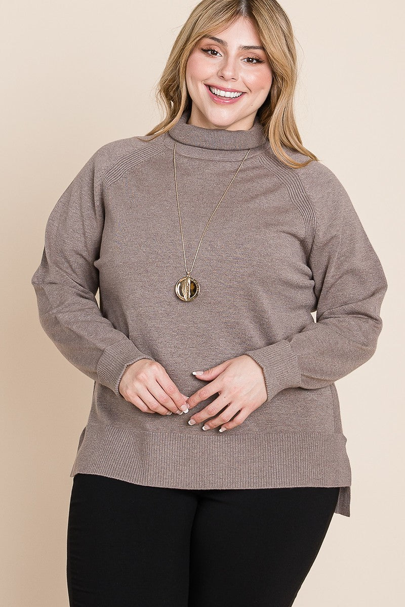 Plus Size Long Sleeve Turtleneck Sweater