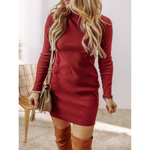 Long Sleeve Knit High Neck Mini Dress