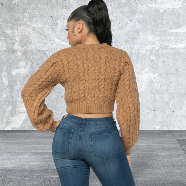 Long  Sleeve Crop Cable Pullover Sweater Top