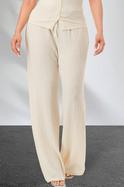 Shot Sleeve Textured top and pants set