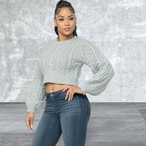 Long  Sleeve Crop Cable Pullover Sweater Top