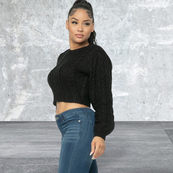 Long  Sleeve Crop Cable Pullover Sweater Top