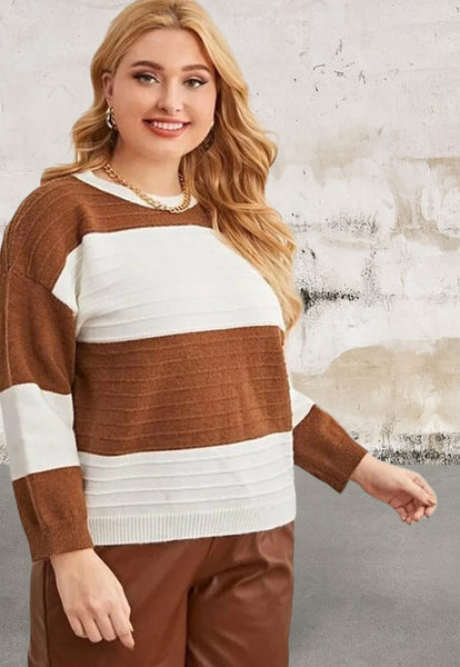 Plus size long sleeve brown and white sweater