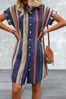 Short Sleeve Striped Button Front Shirt Dress
