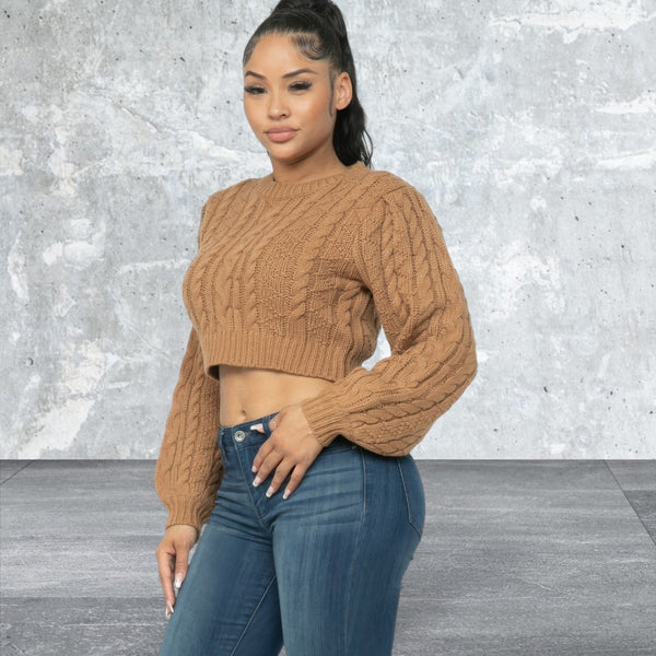 Long  Sleeve Crop Cable Pullover Sweater Top