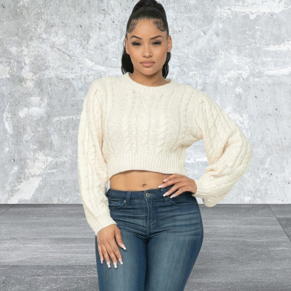 Long  Sleeve Crop Cable Pullover Sweater Top