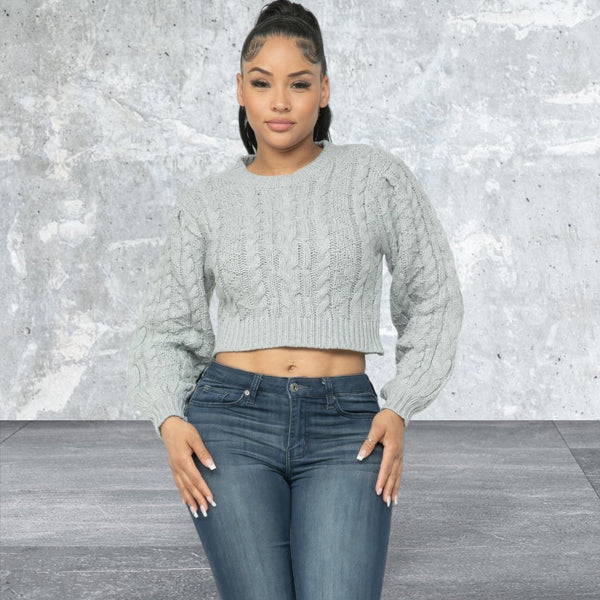 Long  Sleeve Crop Cable Pullover Sweater Top