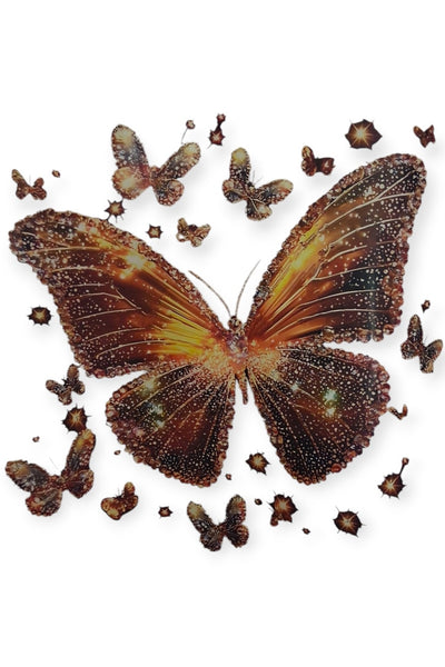 Short Sleeve Butterfly Graphic White T-Shirt