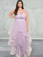 Plus size sleeveless round neck sheer long dress