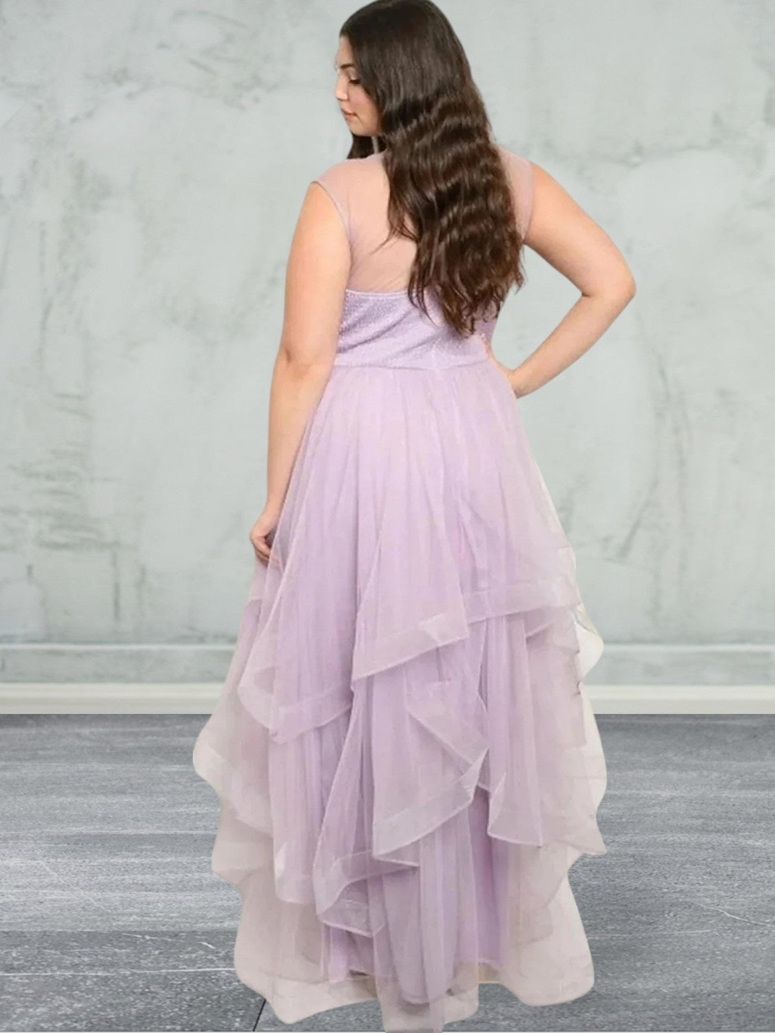 Plus size sleeveless round neck sheer long dress