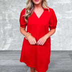 Women's Puff Short Sleeve V Neck Mini Dress
