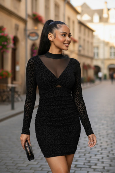 Long Sleeve Animal Print Mini Dress